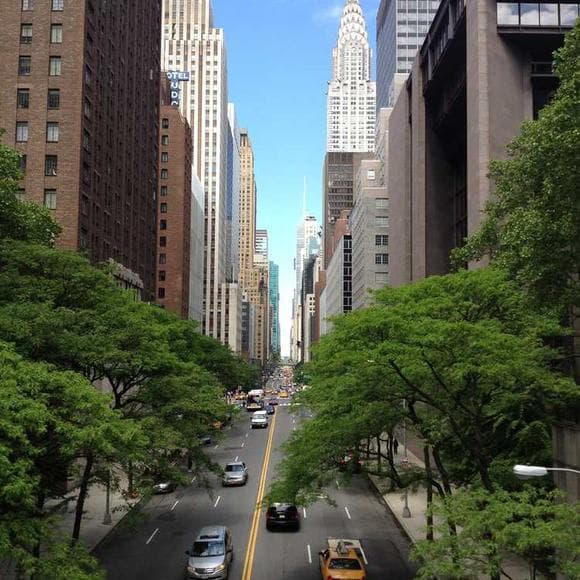 jonathan lethem Quotes Quality,Halloween,Rooftops