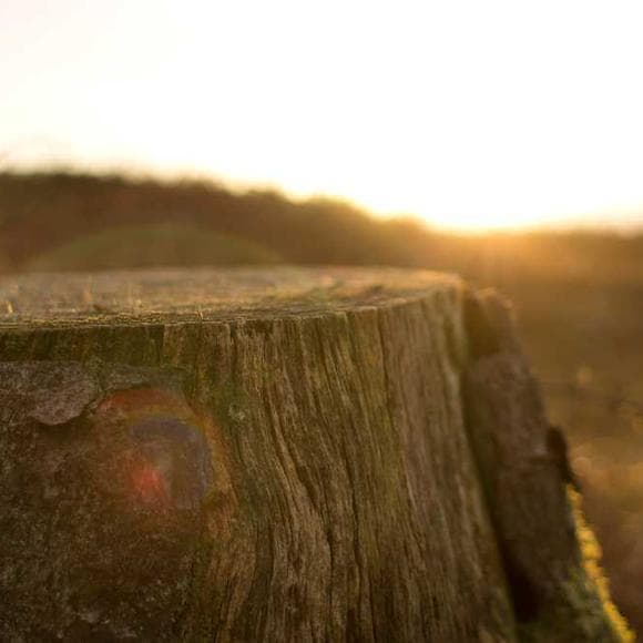 john of the cross Quotes Heal,Wounds,Stillness
