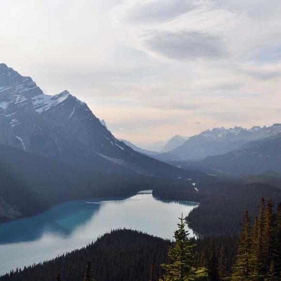 wendell berry Quotes Hiking,Trekking,Wander