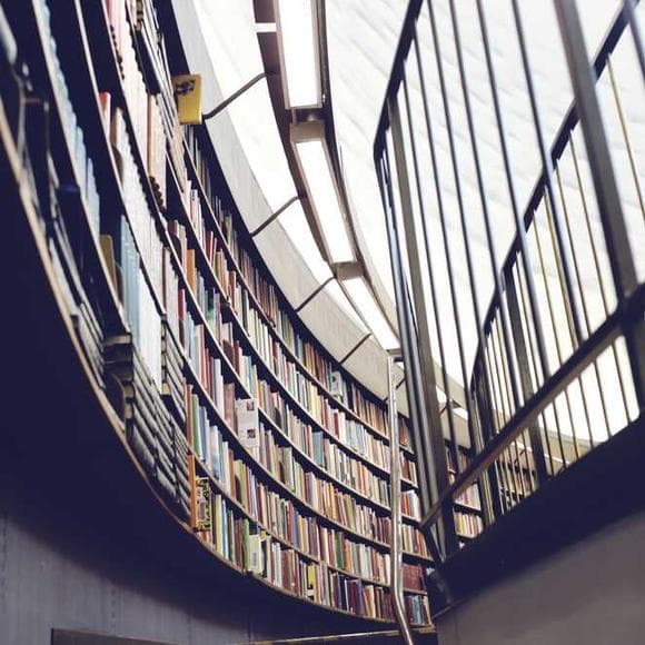 georg c. lichtenberg Quotes Library,Human Wisdom