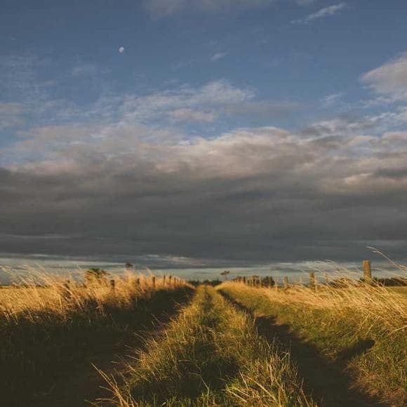 mehmet murat ildan Quotes Mortals,Without Love,Life Without Love