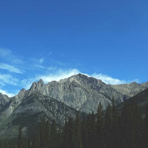 henry david thoreau Quotes Integrity,Rulers,Upright Man