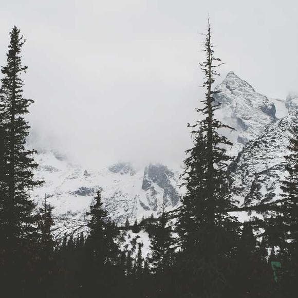 r. c. sproul, jr. Quotes Sole,Reason,Jaded