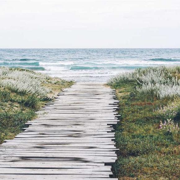 thomas merton Quotes Miles,Joy Of Life