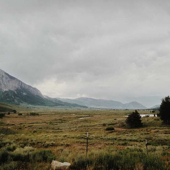 ruth ozeki Quotes Magic,Kind,No Problem