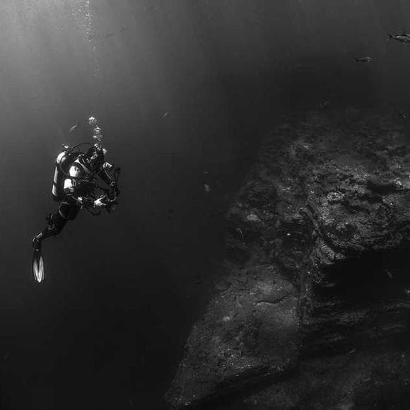 joseph campbell Quotes Wave,Ocean,Life And Death
