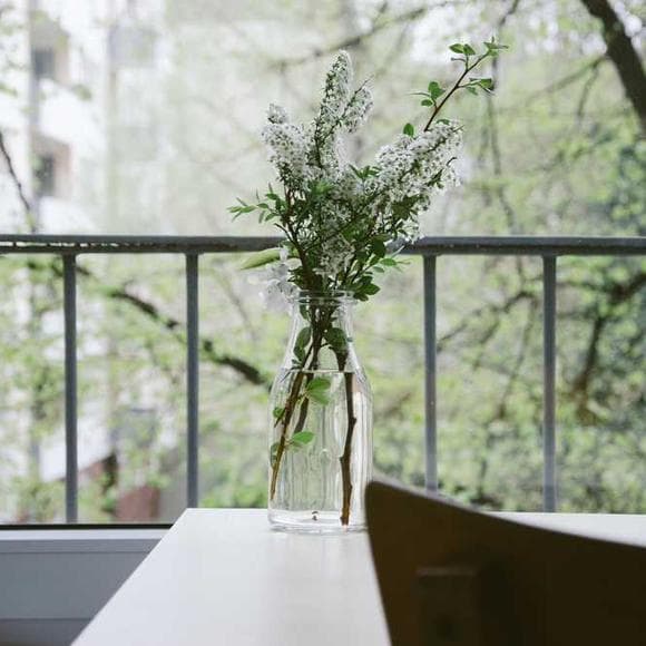 david nicholls Quotes Life Time,Tidy,Sleepovers