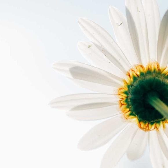 edith schaeffer Quotes Life Time,Precious Things