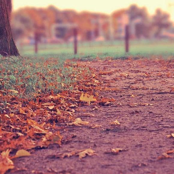 randy pausch Quotes Listening,What's Important