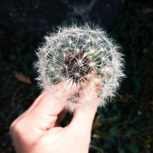 julia cameron Quotes Magic