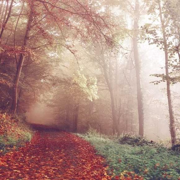 carl jung Quotes Pointless,Spiritual,Memories Dreams Reflections
