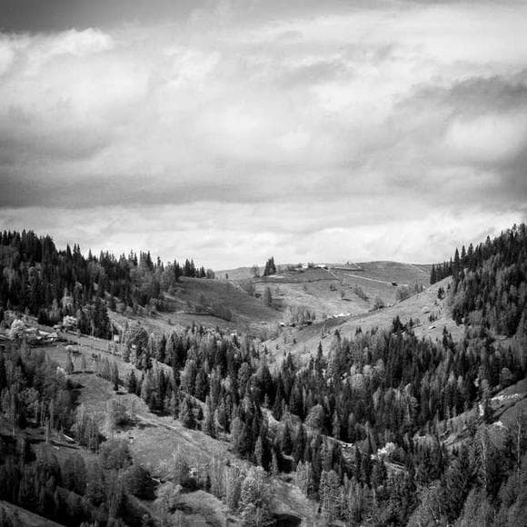 ishmael beah Quotes My Journey