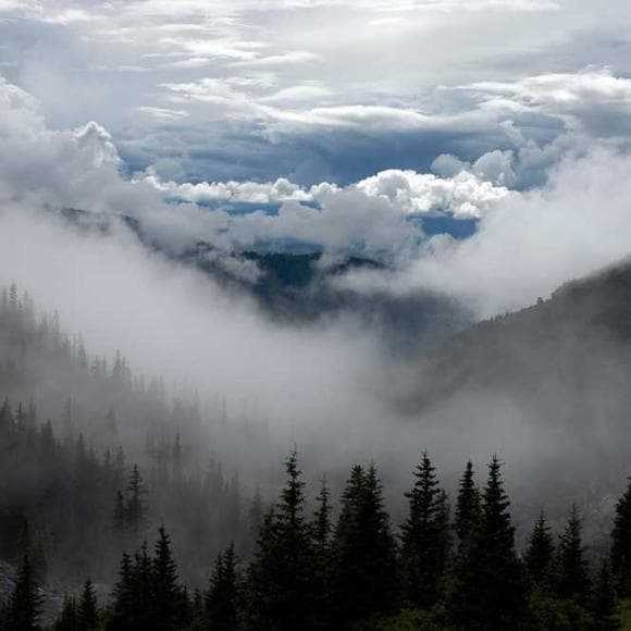 pz myers Quotes Natural World,Religious Belief,Observation