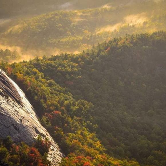 william shakespeare Quotes Sparks,Nature