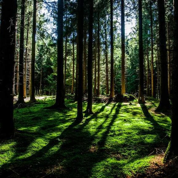 cesare pavese Quotes Symbolism,Wealth,Problem