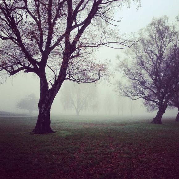 cecelia ahern Quotes Permission,Special Places