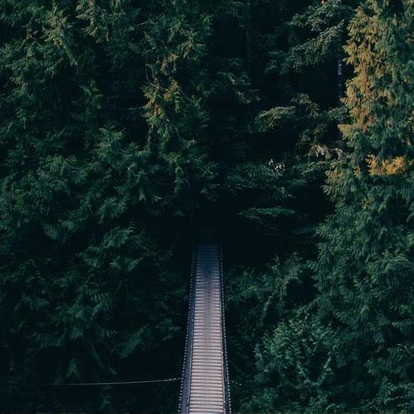 jeff wall Quotes Pitfalls