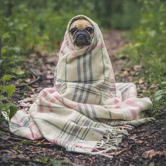eckhart tolle Quotes Resistance,Surrender