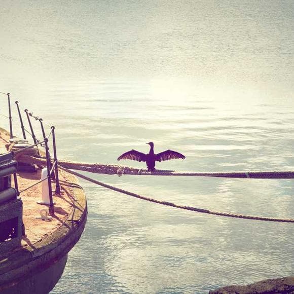 mehmet murat ildan Quotes Sea,Water