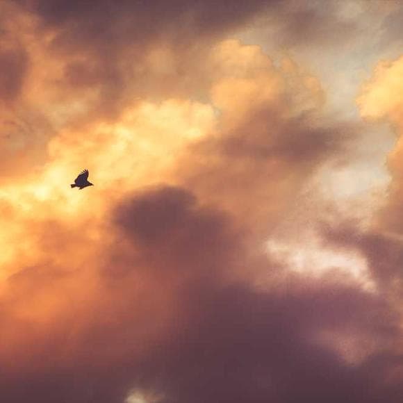 john c. maxwell Quotes Successors