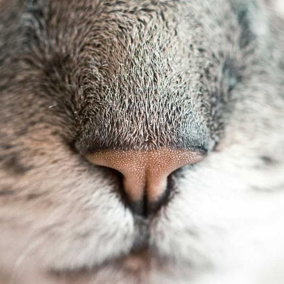 a. a. milne Quotes Today