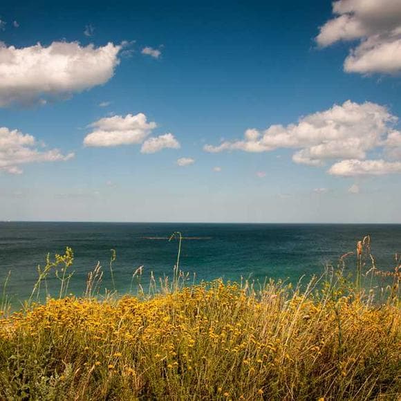 laure heriard-dubreuil Quotes Vacation,Weekend