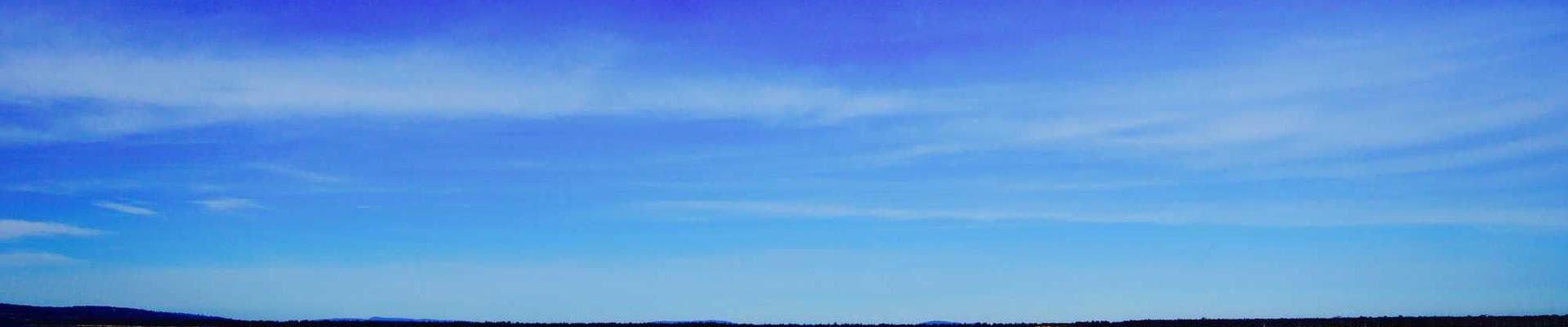Skylarks