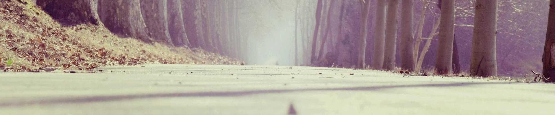 I Don't Want To Lose You