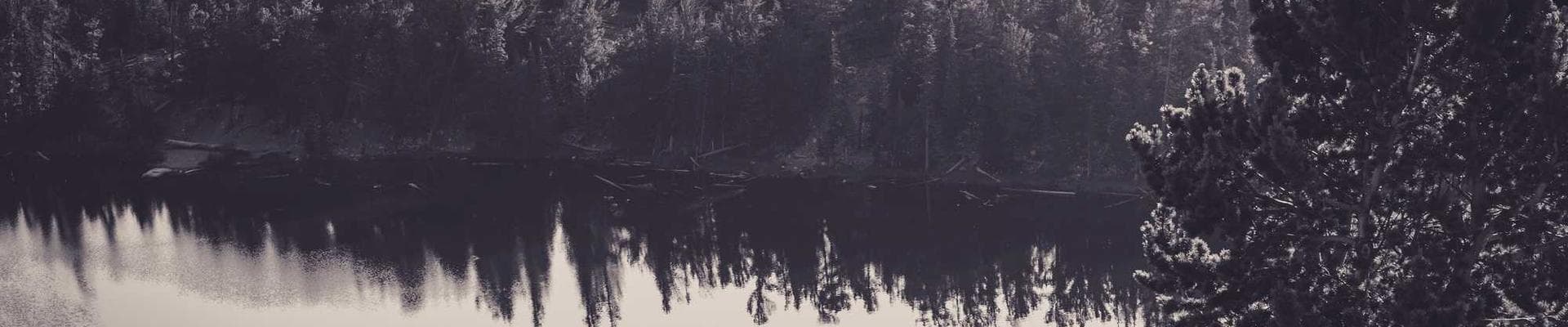 Ambivalent Feelings