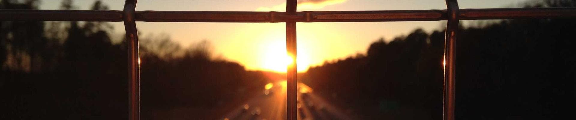 Adversity And Perseverance