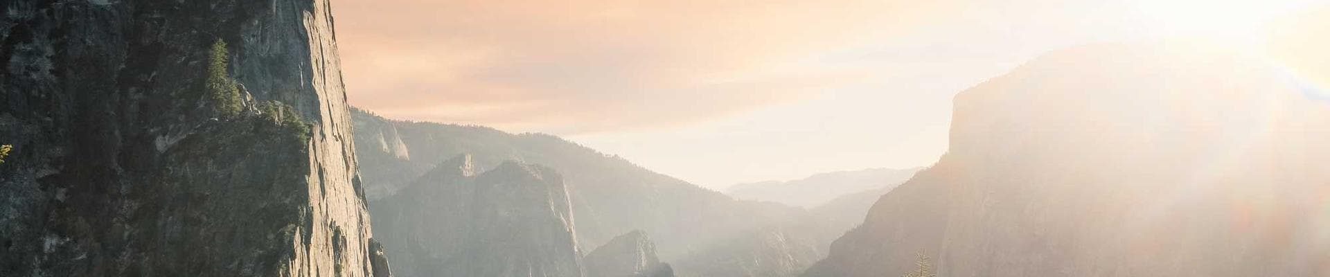Wander