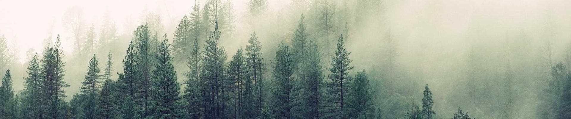 Serenity