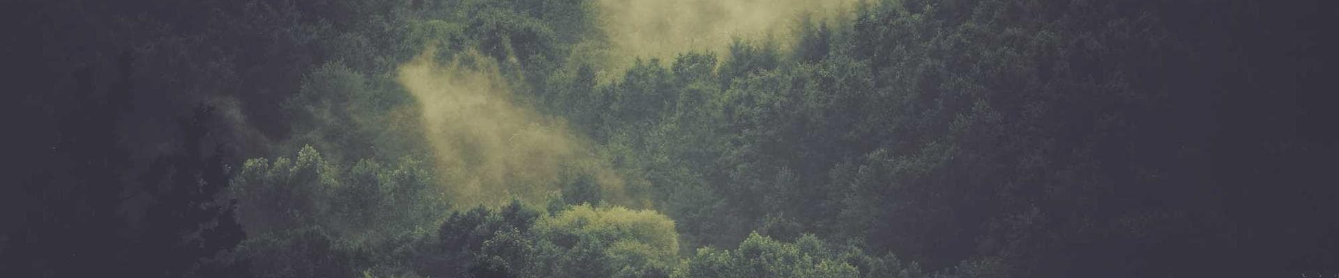 Instance