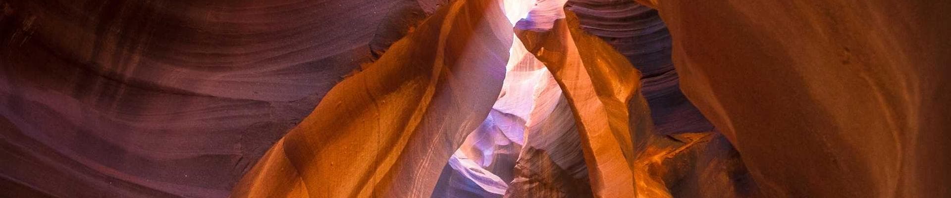 Gratitude For Life