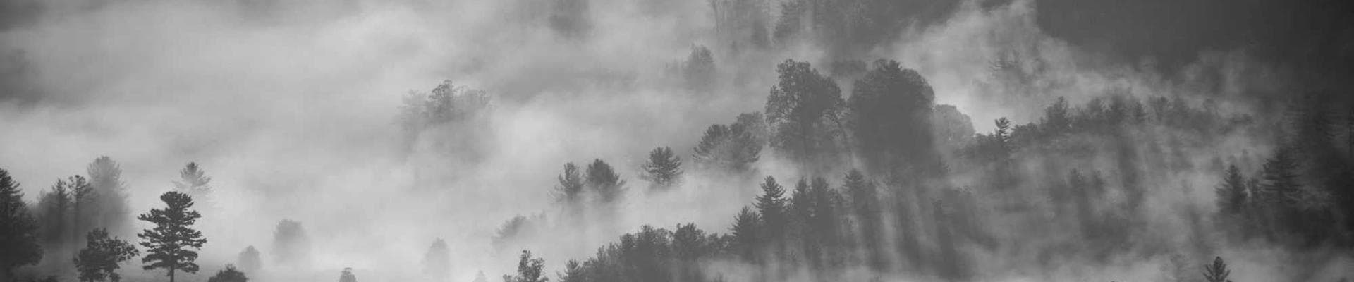 Parables